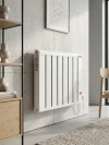 600W Elektrikli Aluminyum Radyatör 60c Termostatlı 50x80 